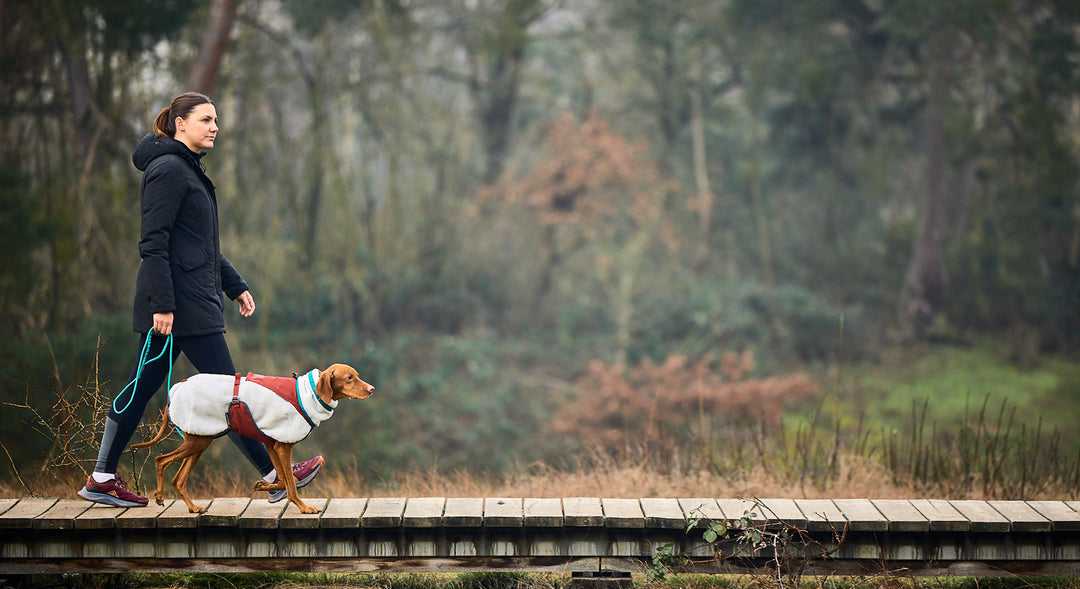 Trekking Rope Con Mosquetón de Rosca de Non-stop Dogwear